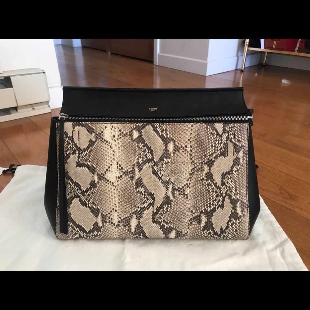 Celine Medium Python Edge Bag - image 1